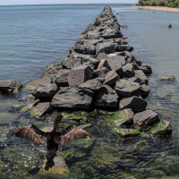  BREAKWATER